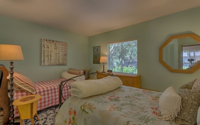 Spotted Sandpiper 12