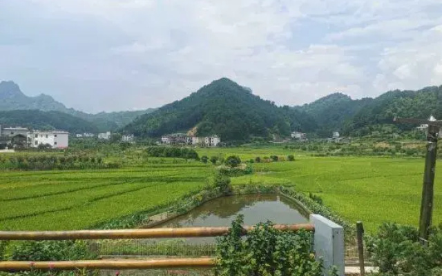 Langshan Bajiaozhai Xiao'er Farm House