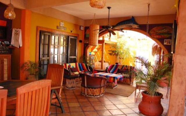 Leo's Baja Oasis