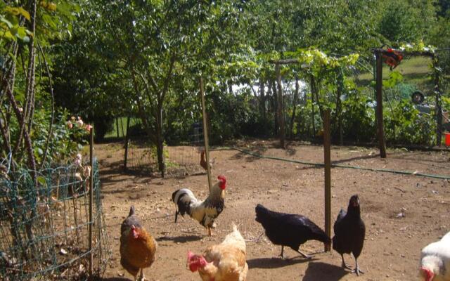 Gîte La Jaubertie Labellisé Handicap