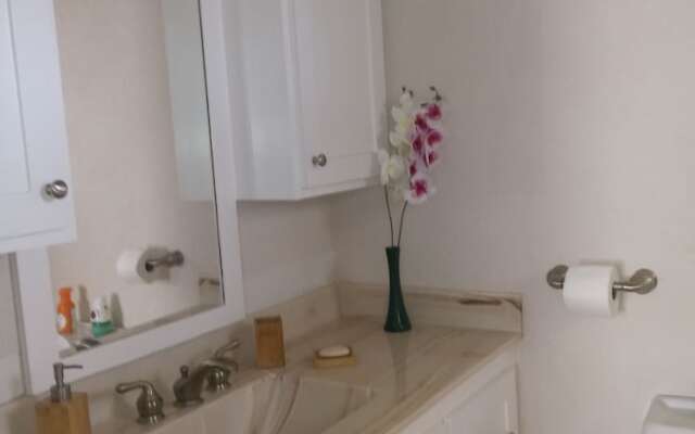 Sand Dollar Vacation Apartment Rental