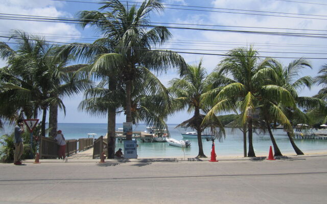 Coconut Tree West End