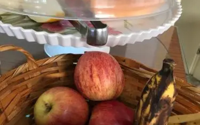 Tropical Palace Hotel