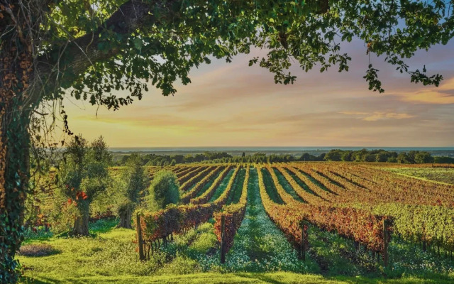 Resort with pool in Riparbella