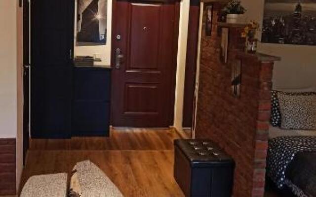 Studio flat in a historical XIX c. building.