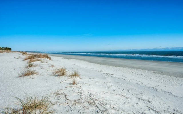 Pelican by RedAwning