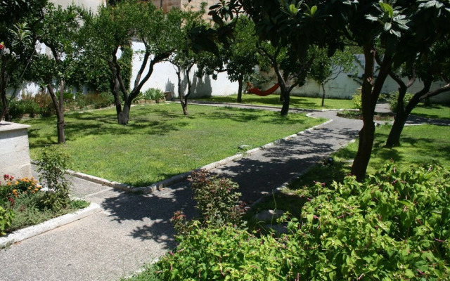 Urban Oasis Hostel