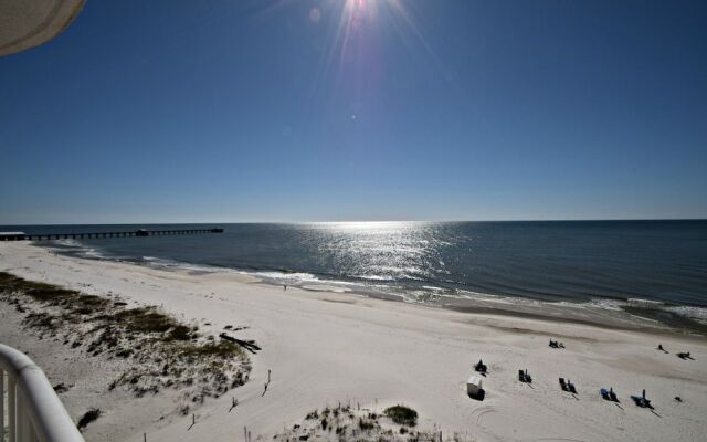 Royal Palms 801 by RedAwning