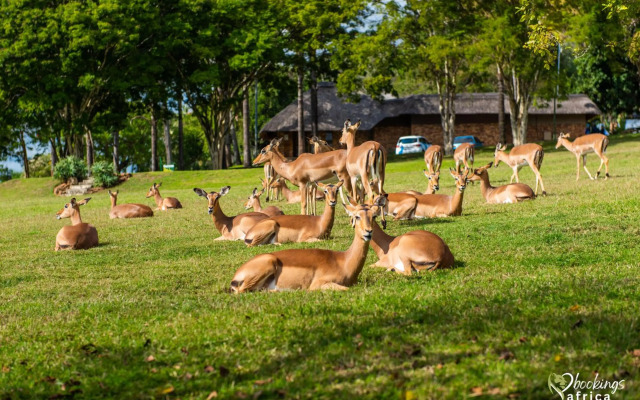 Kruger Park Lodge