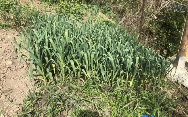 Ya'an Gasa Tibetian Inn