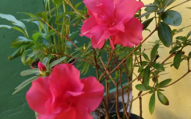 Pousada Brilho do Sol