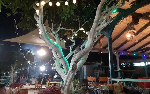 Social Camping JAL
