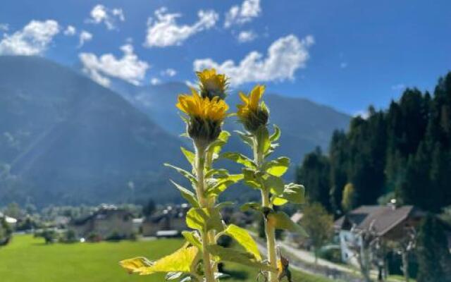 Gasthof Pension Taurer Thoman
