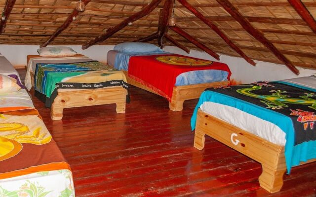 Hostel La Ballena Backpacker