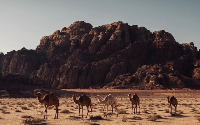 Wadirum Desert Start