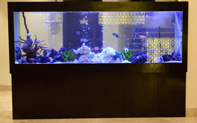 The Flora Grand