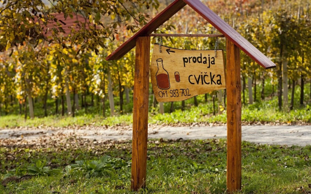 Vineyard cottage Ucman