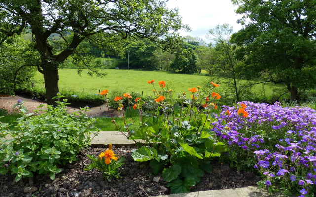 Millbrook B&B