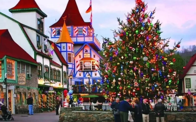 Nacoochee Valley Lodge