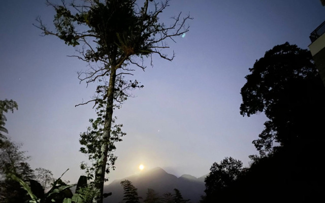 Sitou ARCADIA Homestay