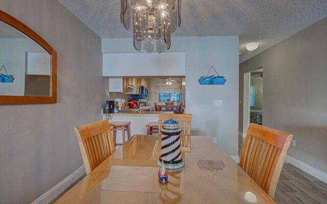 Anna Maria Island Beach Palms 2A