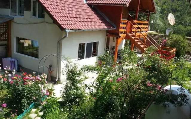 Pensiunea Balea