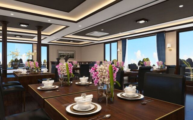 Apricot President Cruise