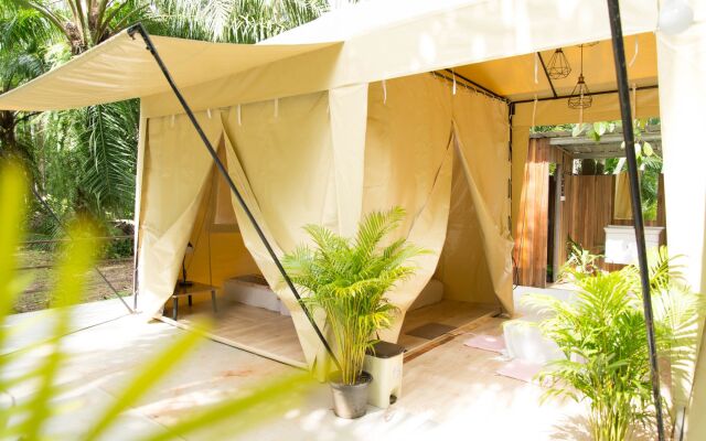 Tonphet Greenery Garden