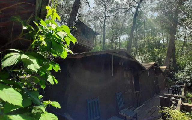 Altaris Bungalows Olympos