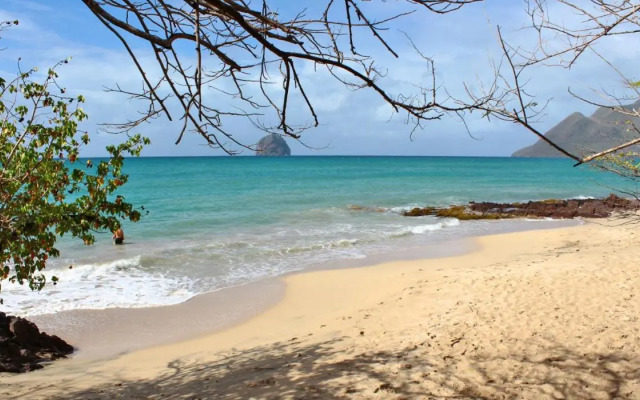 NOUVEAU studio chaleureux avec jacuzzi privé & piscine