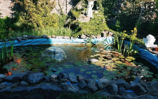 Дом для Души с бассейном целиком