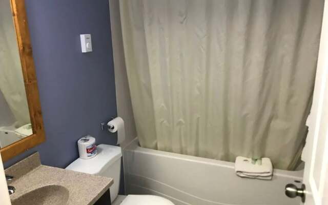 The little chalet motel