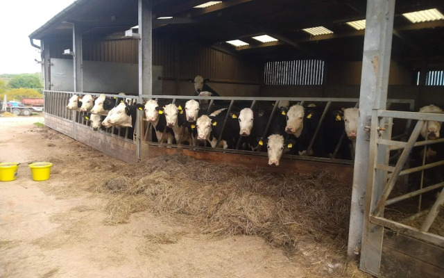 Open Plan Studio by Alton Towers