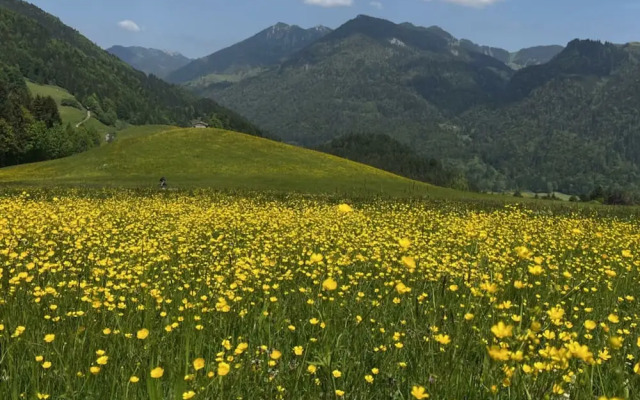 Fantastic Apartment in Schleching