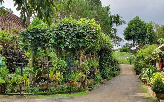 Tithonia Homestay