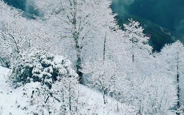 Sirt Yayla Butik Hotel