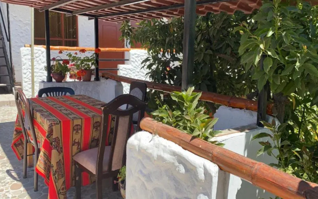 Las Palmeras Eco Hostel