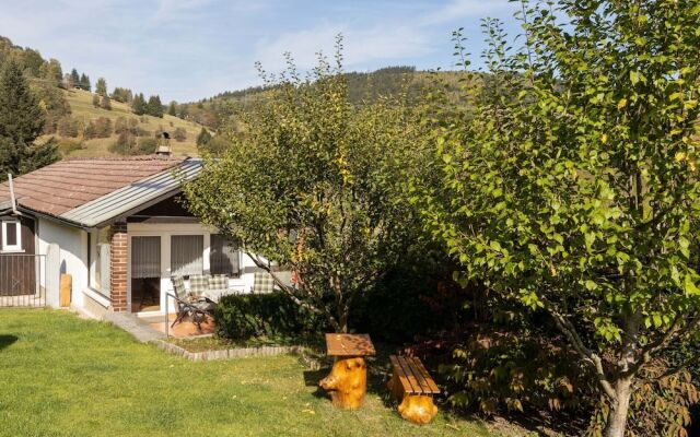 Bright Holiday Home in Schonbrunn with Garden