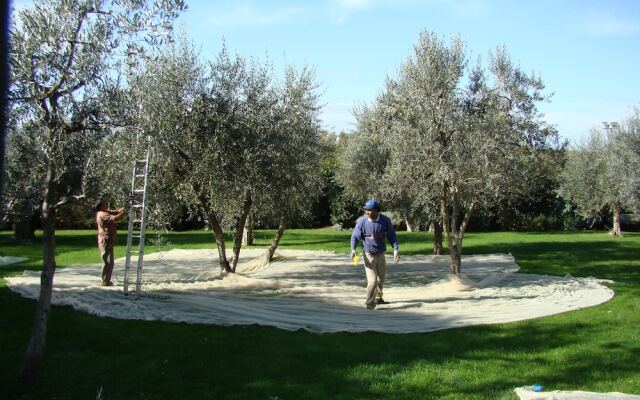 La Canonica di Cortine