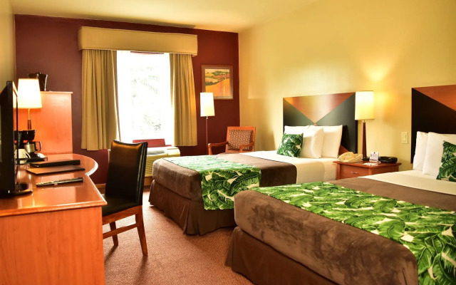 Sleep Inn Hotel Paseo Las Damas