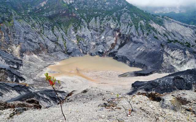 Villa Rose Gunung Bunder by Ruang Nyaman