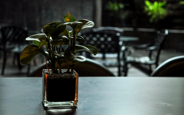 Jingan Classical Inn