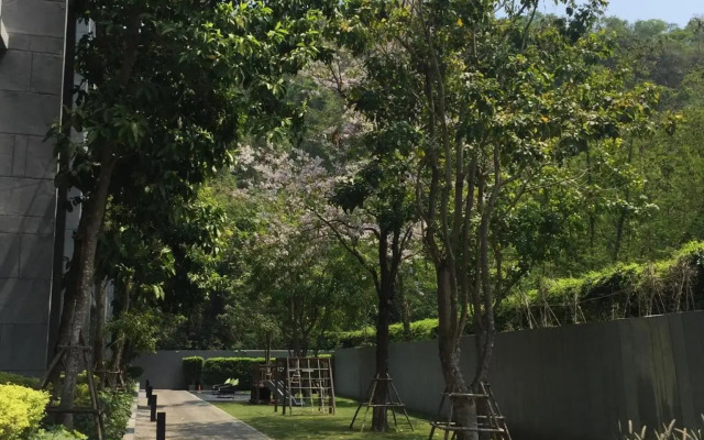 The Valley Khaoyai by NPP