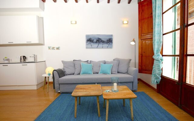 Sant Miquel Homes Penthouse