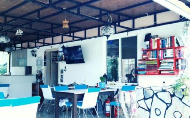 Assos Orchidee Bungalow