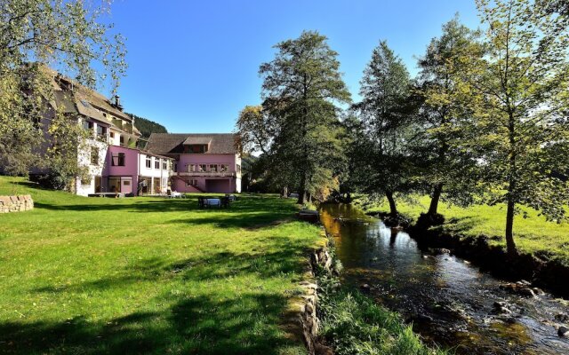 Logis Hotel Des Vosges