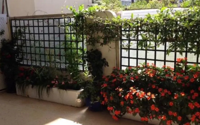 Home Rental Trois Pièces Croisette