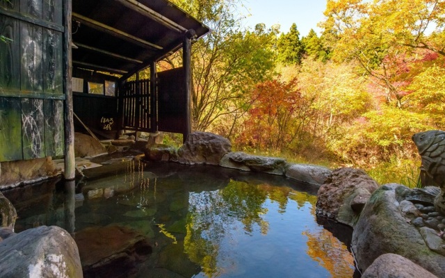 Sujiyu Onsen Kujyu Iyashi no Sato Hotel Dai Kogen