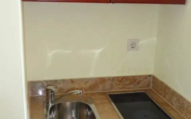 Apartment Pucurica II