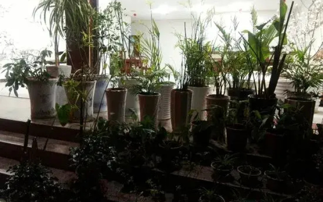 Jinggangshan Homestay